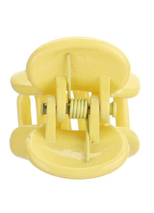 Mini Hair Claw Clip (12 pcs)