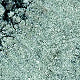 Misslyn I'm hot Eyeshadow 1.3g , 21 The Cosmo