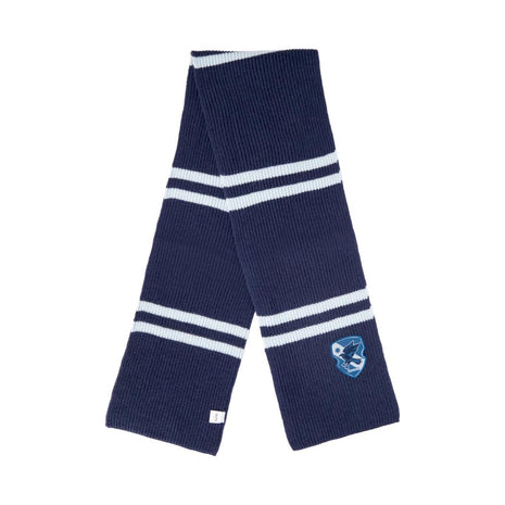 Harry Potter School Striped Scarf (Blue)