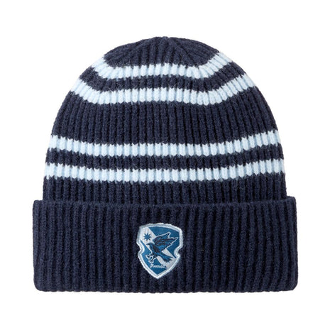 Harry Potter School Striped Knitted Hat (Blue)