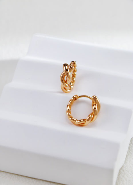 S925 Silver Twisted Earrings CE0233