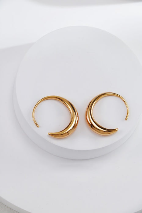 S925 Silver Earrings CE0232