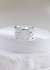 Other / Silver (natural color)
