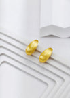 Earrings / Unknown color