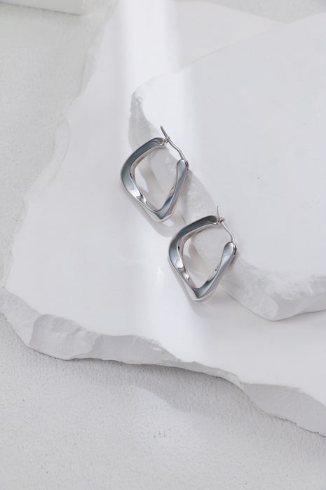 S925 Silver Geometric Earrings CE0283