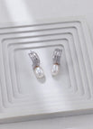 Earrings / Platinum