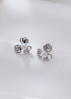 Earrings / Platinum