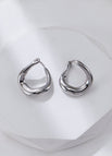 Earrings / Platinum