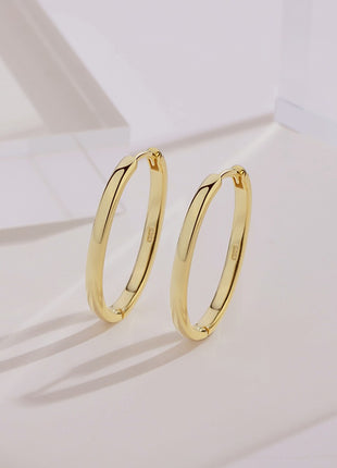 Sterling Silver Earrings E0576