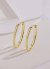 Earrings / Platinum