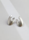 Earrings / Platinum