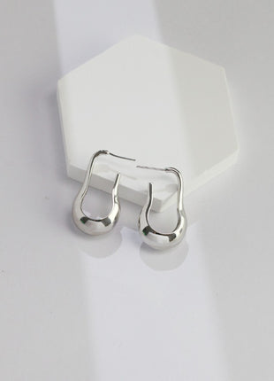 Sterling silver earrings E0827