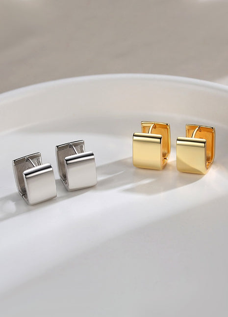 Pure silver earrings E0660