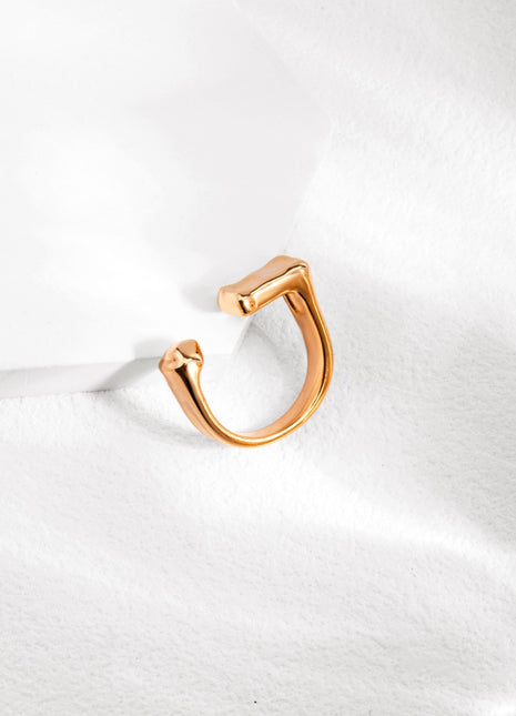 Pure silver ring J0135