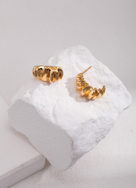 Sterling silver earrings E0976