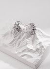 Earrings / Platinum