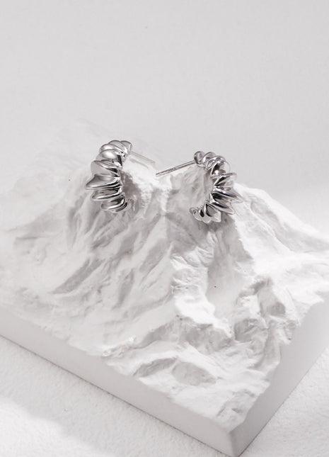 Sterling silver earrings E0976