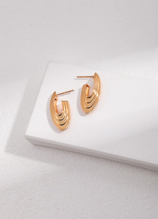 Sterling silver earrings E0975