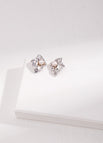 Earrings / Platinum