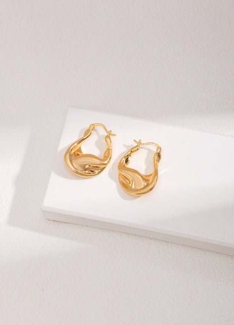 Pure silver earrings E0953