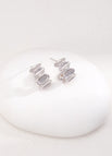 Earrings / Platinum