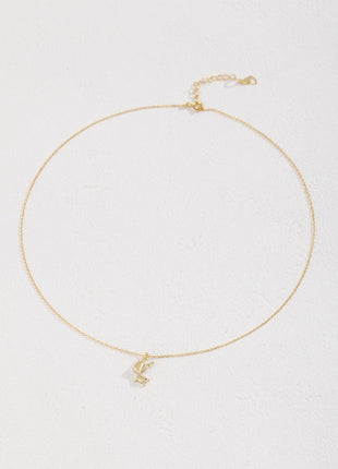 Pure silver necklace D0123-2