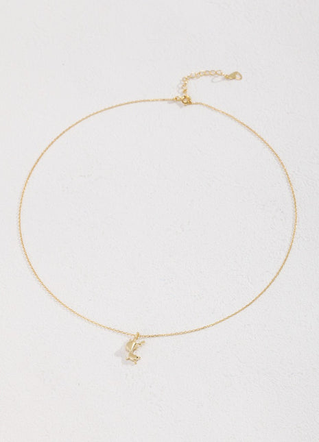 Pure silver necklace D0123-2