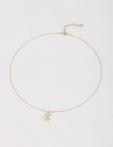 Pure silver necklace D0123-2