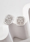 Earrings / Platinum