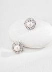 Earrings / Platinum