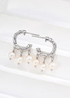 Earrings / Platinum