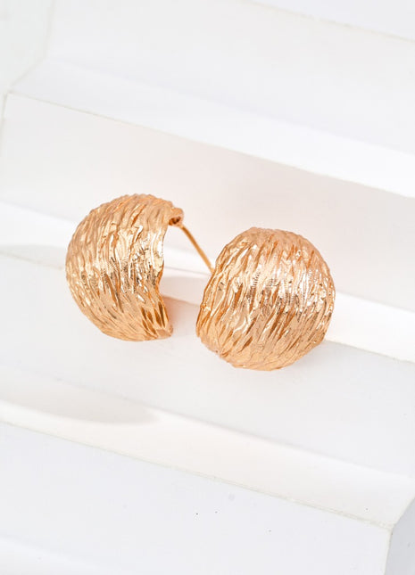 S925 Silver Earrings E01258