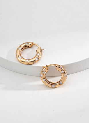 S925 Silver Zircon Earrings E01269