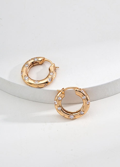 S925 Silver Zircon Earrings E01269