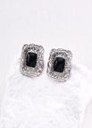 Earrings / Platinum