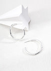 Earrings / Silver (natural color)