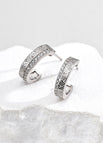 Earrings / Platinum