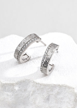 S925 Silver Zircon Earrings E01329